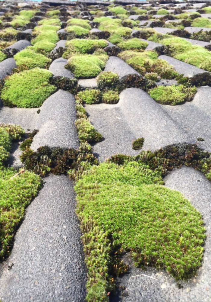 Démoussage et nettoyage de toiture à Mouroux (77120) en Seine-et-Marne et en Ile-de-France